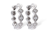 D001-55368: EARRINGS .22 TW