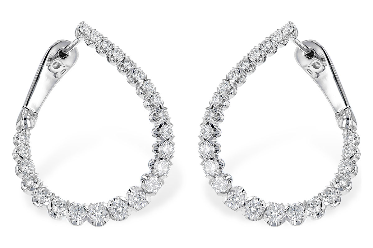 F273-42641: EARR 2.00 TW