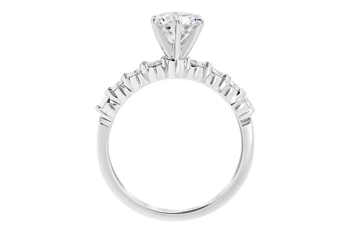 K189-79022_W_ALT_NA_0101.jpg